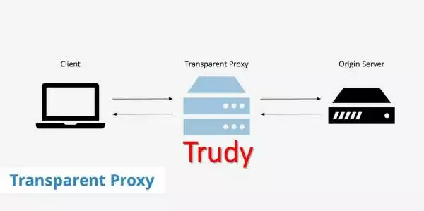 Перехват и модификация TCP / IP трафика на лету с помощью Trudy