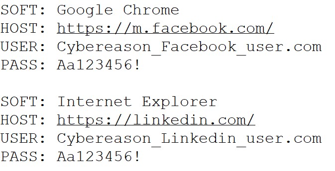 Пример формата файла «passwords.txt», содержащего пароли, украденные стилером Raccoon