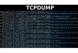 Анализ дампов TCP с помощью Wireshark