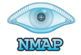 Руководство по работе со скриптами Nmap Scripting Engine